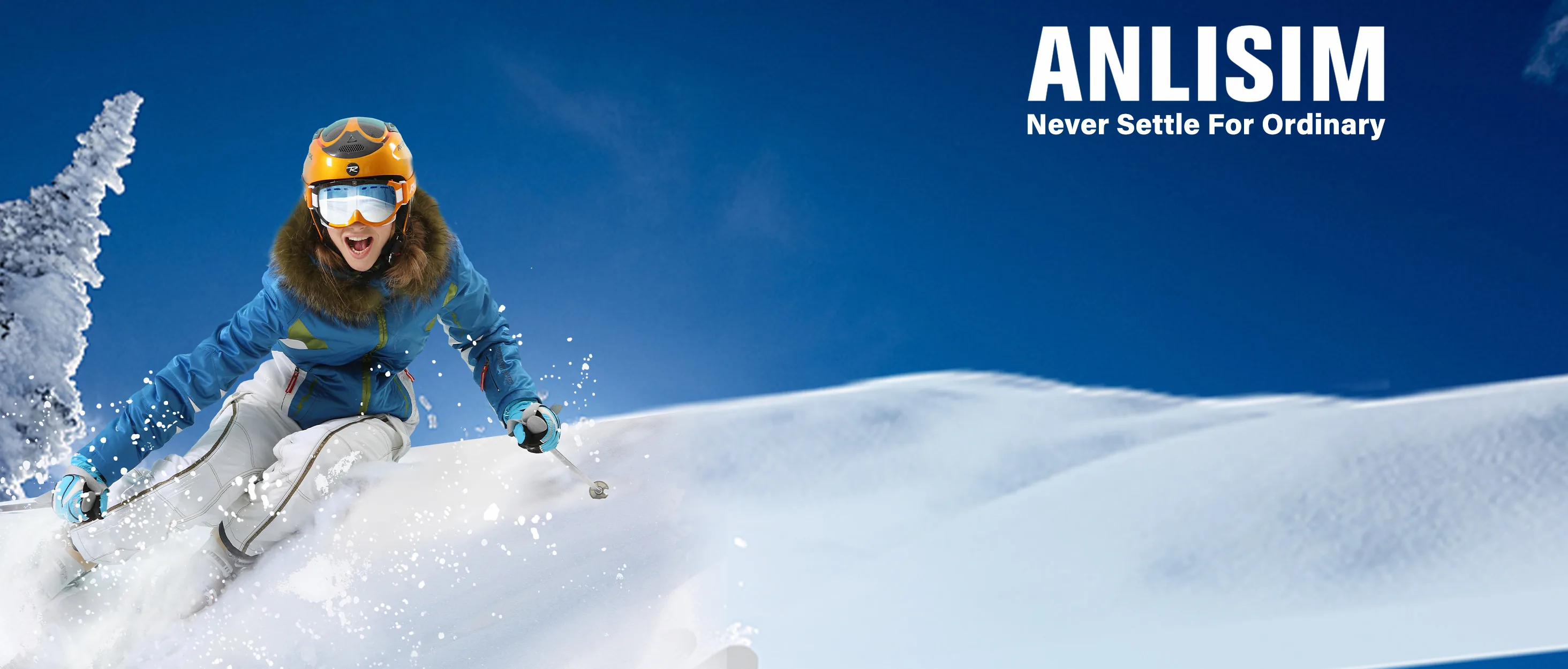 anlisim products content 1